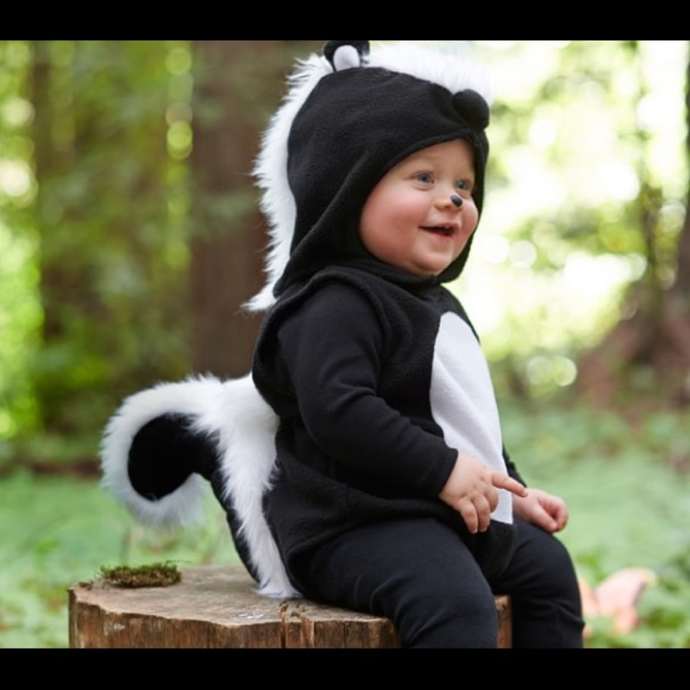 COPY - Pottery Barn Kids- skunk costume